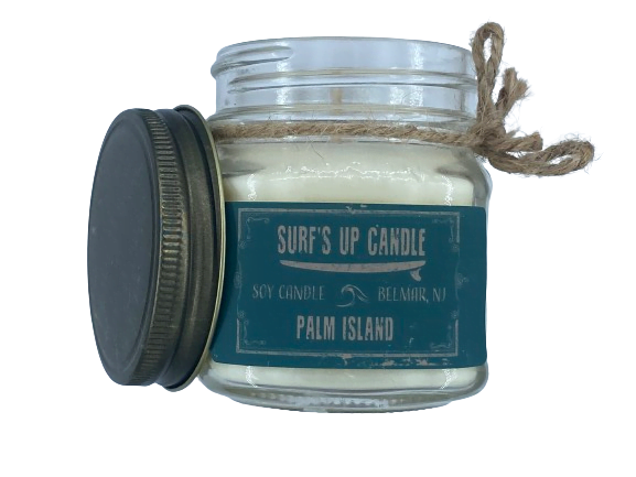 SURFPISTOLS Bougie Bio Palm Island 225 g cire soja
