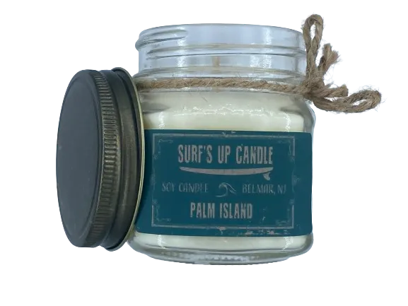 SURFPISTOLS Bougie Bio Palm Island 225 g cire soja