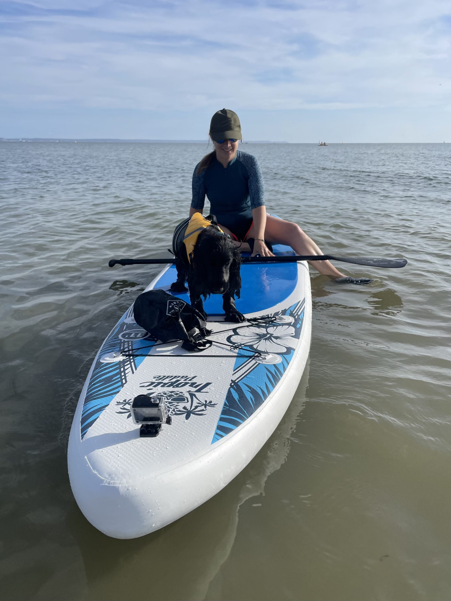 SURFPISTOLS Stand Up Paddle gilet sauvetage pour chien